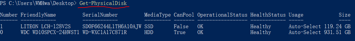 get-physicalDisk